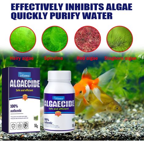Algenentferner für Aquarien, Lösung zur Algenbekämpfung, Grünalgenentferner für Fischbecken – 50 g -- DTEKGAZ (1/5)