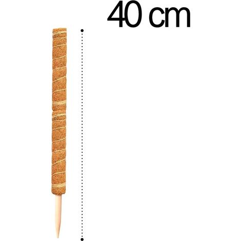 Tuteur en fibre de coco (40 cm) pour plantes grimpantes, idéal pour le jardinage et le soutien des plantes grimpantes, vignes et lianes. (1/4)