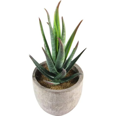3pièces Fausse Plante Succulente Artificielle avec Pot Plante Grasse Plastique Décorative Simulée (1/5)