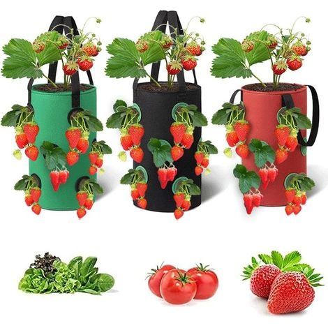 Sacs De Culture De Fraises, 3pcs Planteur De Fraises en Tissu Respirant Suspendus Sacs De Plantation De Fraises Contenant De Plantation avec Trous De Plantation pour Fraises Fleurs (20x35cm) (1/5)