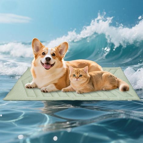 Manta refrescante para gatos, tela superior y parte trasera de terciopelo, lavable, manta refrescante para perros de 91 x 58 cm, alivio de verano para cachorros y gatitos - Verde hielo (1/5)