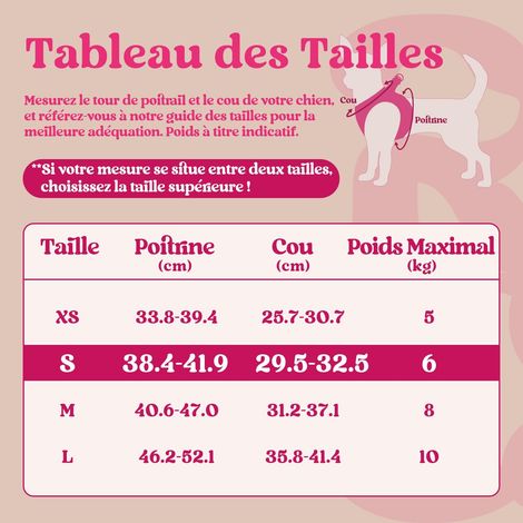 Harnais pour Chien Respirant et Réglable - Confort Absolu pour Promenade Quotidienne et Sécurité Optimale