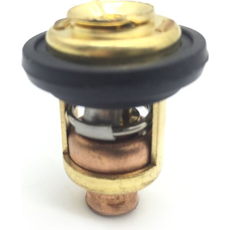 Termostato para motor de barco 66M-12411-00 66M-12411-01, repuesto para motores fueraborda Yamaha de 4 tiempos de 9,9 a 70 hp. (1/5)