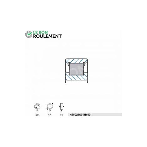 Roulement à rouleaux N40021S01H100-SNR