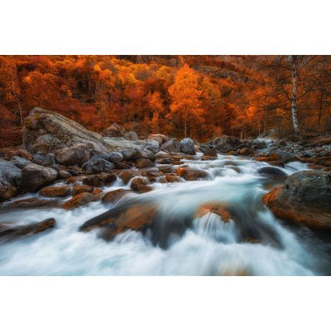papier peint panoramique cascade orange chaude, gris et blanc - Sanders & Sanders (1/5)