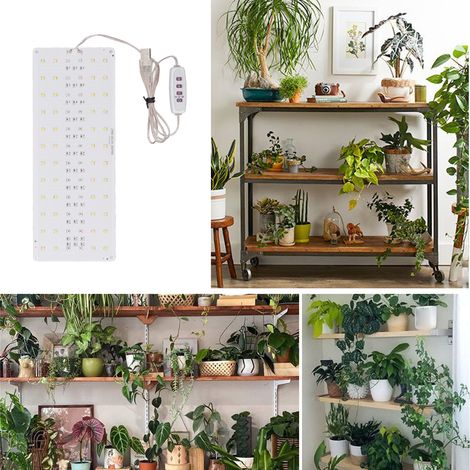 LED-Pflanzenlampe für Zimmerpflanzen – Vollspektrum, einstellbar, mit 5V-USB-Timer (8/12/16h) für Gewächshäuser, Einzelkopf (1/5)