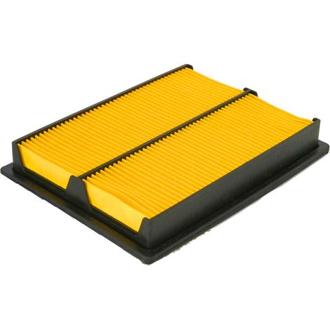 Filtro aria GX 610, 620, 670 Misure 225 x 165 mm HONDA