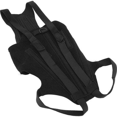 Hunderückenbandage aus Polyester, robust, flexibel, stützend für Spaziergänge, Größe L (1/5)
