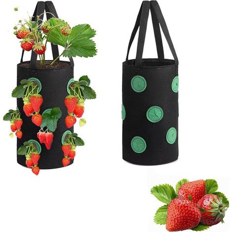 Sacchi per la semina di fragole e ortaggi, sacchi appesi con foro, cesti appesi in tessuto non tessuto per piante, erbe aromatiche, ortaggi e fiori (1/5)
