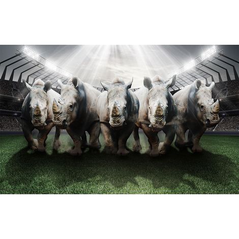 Affiche sport rhinos rugby club - 60x40cm - made in France (1/5)