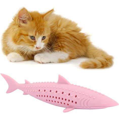 Jouet de dentition pour chaton, brosse à dents en silicone avec herbe à chat, jouet à mâcher interactif pour l'hygiène dentaire (1/5)