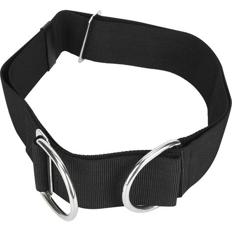 Sangle de Plongée Forte Résistance à la Rouille Boucle Réglable en Acier Inoxydable 316 pour la Plongée Sous-marine Plaque Arrière et Suspension Latérale pour Toutes les Personnes Sangle en (1/4)