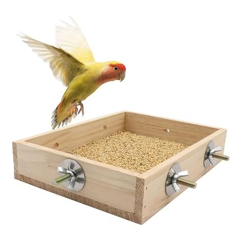 Bird and Parrot Feeder - Wooden Perch with Dish, Food Dispenser for Parakeets, Cockatiels and Small Animals (Rats, Conures, Pigeons, Chinchillas) (1/5)