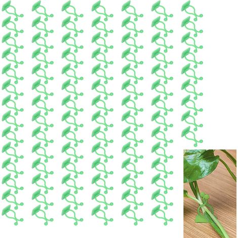 Kletterpflanzenclips zur Wandmontage – 100 Stück, ABS, 3,5 cm, Grün, schnelle und dekorative Montage