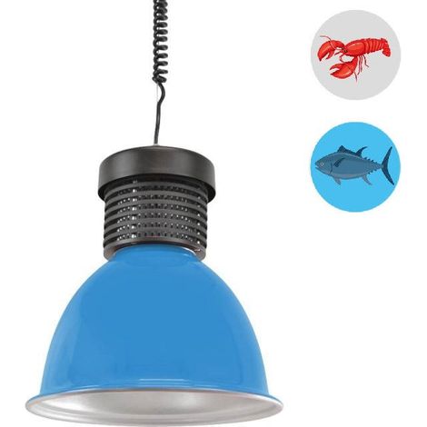 LED-Haube 30W speziell für Fisch und Meeresfrüchte