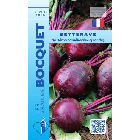 Betterave de Détroit améliorée - 7g