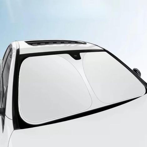 Couverture Pare Brise Voiture pour Citroen C4 II Grand Picasso (1/5)