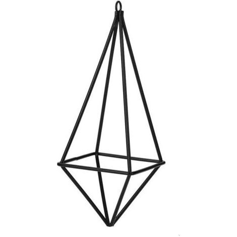 7x7x19cm Support de Tillandsia Suspendu par quadrilatère de Support d'usine d'air(Noir) (1/5)