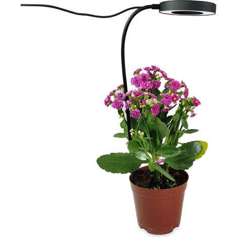 Lámpara hortícola para enchufar al suelo, con intensidad variable y programable, que imita la luz solar, para macetas de plantas suculentas.