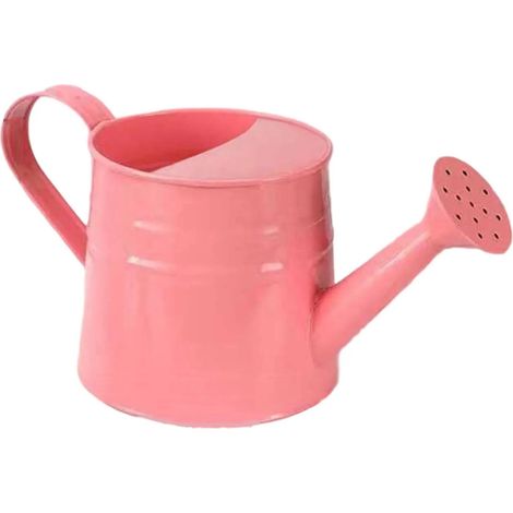 Arrosoir pour enfants pot de fleurs de jardin fer repasser pour enfants R (1/5)