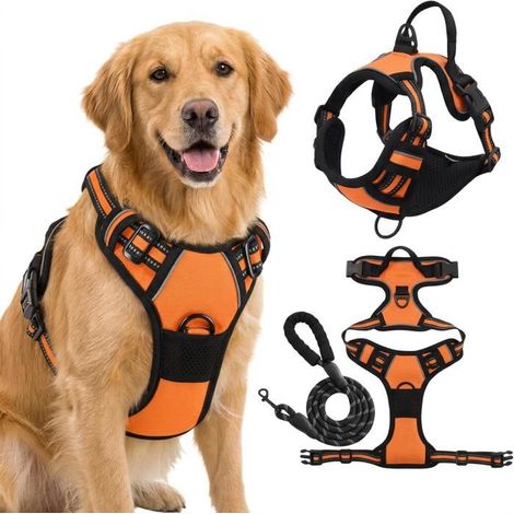KLVGTIFS PU - Harnais Chien Arnais Orange Anti Traction Réfléchissant Gilet Réglable pour Chien Taille L Attache Devant Crochet de Laisse (1.5M) (1/5)