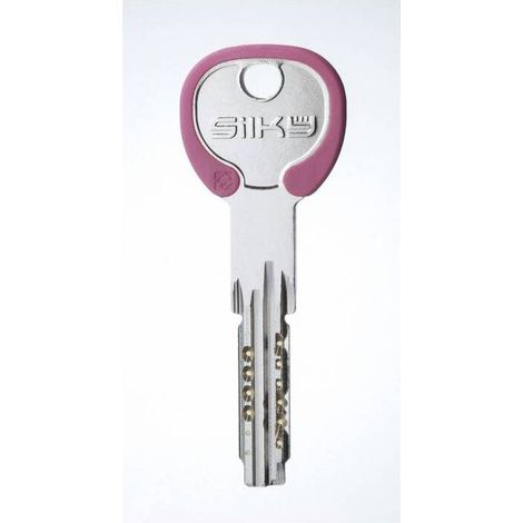 10 x SILCA WA1RDZ CHIAVE PROFILO SILKY OTTONE