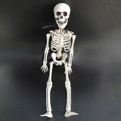 Decoraciones de esqueletos para Halloween, esqueleto de 40 cm para fiestas de Halloween y truco o trato. (1/5)