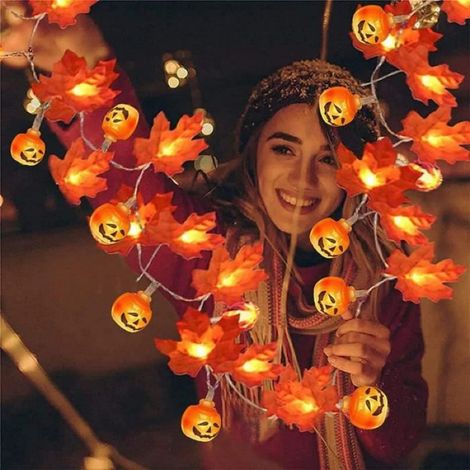 1 Guirlande lumineuse, 6m, 40 LED multicolores, USB rechargeable, Décoration Halloween (1/4)