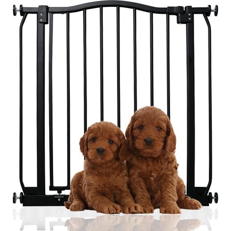 Bettacare Barrière Pour Animaux Avec Design Courbé, Barrière À Pression Pour Chien Et Chiot, 71cm - 80cm, Noir Mat (1/5)