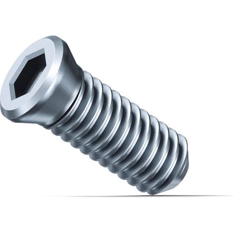 Fein 10x Klemmschraube SX - 31350076000 (1/2)