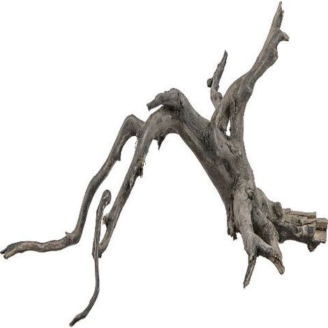 Sera Scaper Root - Raiz de Filigrana Diferentes Tamaños