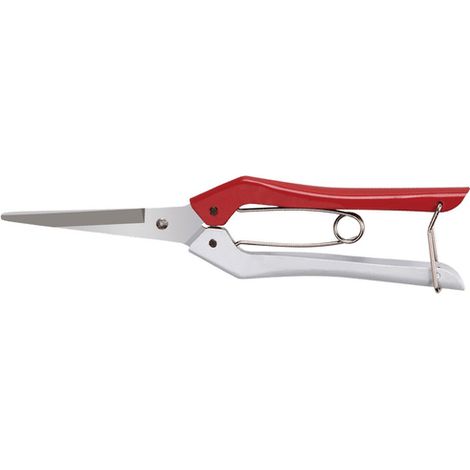 Forbici Coglifrutta Ideal Star 20 cm (1/3)