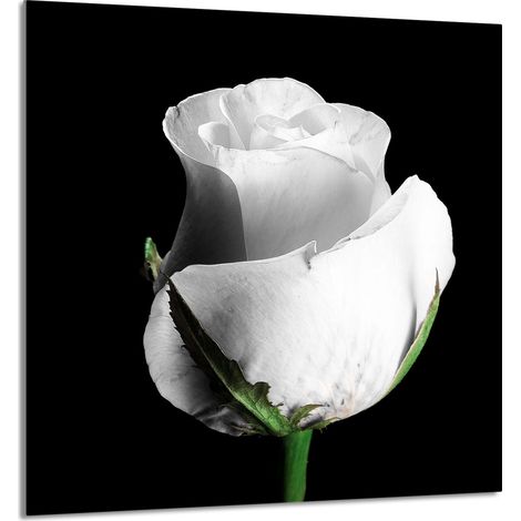 Panneau de verre pour cuisine 60x65 Rose (1/5)