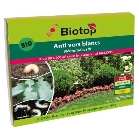 Nématodes HB anti vers blancs 25 millions – Lutte biologique contre ravageurs – Pour fraisiers, framboisiers et gazons – 50m² – Biotop (1/2)