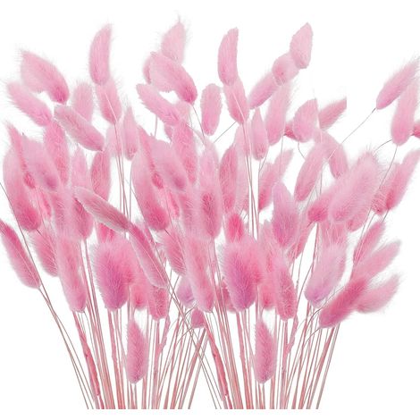 Pack of 120 Dried Flowers Small Pampas Grass 40 cm Pink Rabbit Tail Grass Dried Pampas Grass Decorative Dried Flowers Small Pampas Grass for Flowers Arrangements Wedding Home Party Vase Decoration (1/5)
