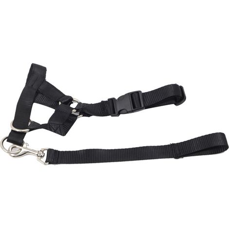 Muselière pour chien avec corde de remorquage, collier de tête réglable, licou, empêche les morsures, les aboiements, la fuite, L (1/5)
