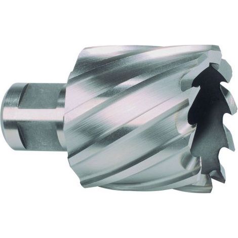 RUKO  Broca  anular  Weldon  HSS-Co  5  ComPact  Ø  17  mm  -  108217E