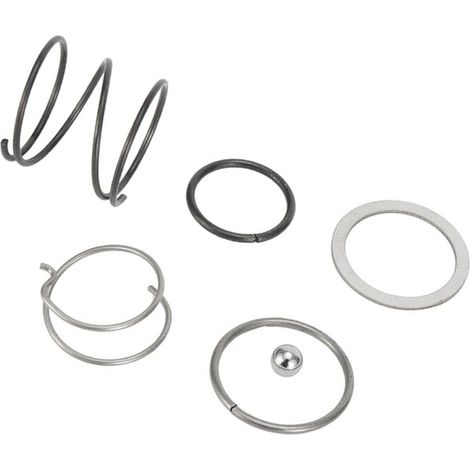 Kit de réparation de mandrin de support compatible avec DCF885 DCF886 DCF887 DCF840 DCF850 N078434 N089668 5 pièces de ressort de rechange et kit de roulement à billes (1/5)