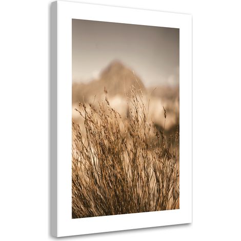 Tableau sur toile Herbes séchées 60x90 (1/5)