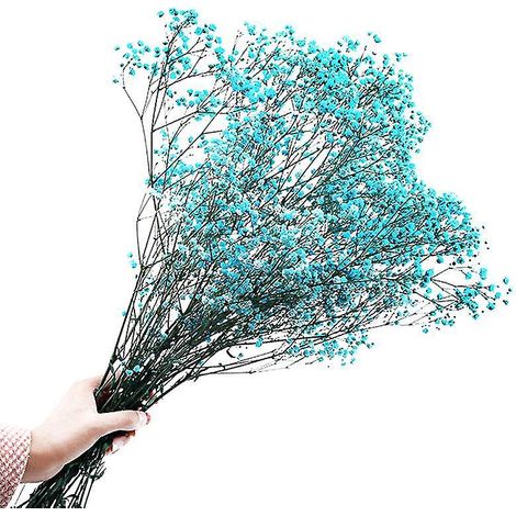 1 fleur stabilisée en cadeau (1/3)