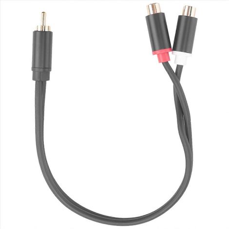 Câble audio femelle pour TV, PC, DVD, haut-parleurs et amplificateurs audio (1/5)
