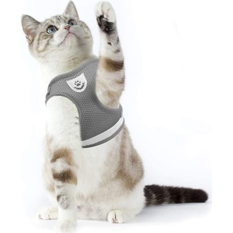 Harnais réglable et confortable pour chat avec laisse, idéal pour les promenades en toute sécurité (1/5)