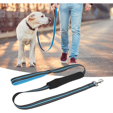 Laisse de sécurité réfléchissante en nylon résistant et confortable pour chiens, idéale pour la voiture (bleue, taille M). (1/5)