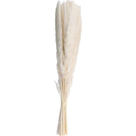 40 brins d'herbe de la pampa blanche séchée naturelle de 45 cm, duveteuse et retombante, idéale pour la décoration de compositions florales bohèmes de mariage. (1/5)