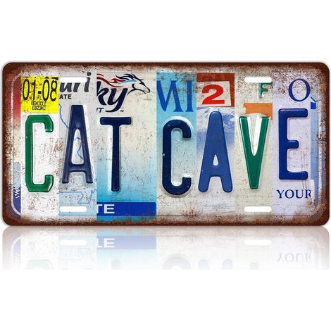 Plaque murale en métal style rétro 12x6 pouces, décoration vintage pour garage, bar ou abri de jardin, design original de plaque d'immatriculation. (1/5)
