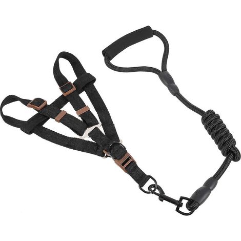 Conjunto de arnés y correa de nailon para pasear cachorros (3 unidades) (1/5)
