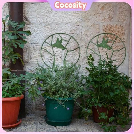 Cocosity treillis de vigne Treillis de jardin pour plantes grimpantes, cadre de Support en fer avec revêtement piscine outils (1/5)