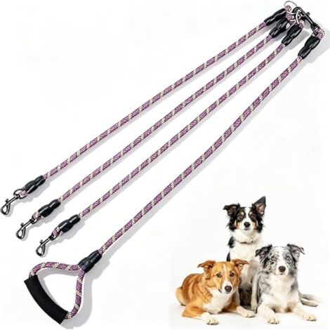 Laisse pour chien 3 en 1 multiposition avec mousqueton détachable réglable, laisse double avec bandes réfléchissantes pour promener 2 à 3 chiens (1/5)