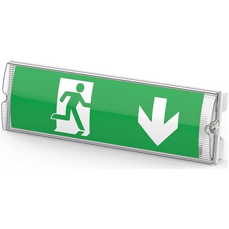 Filiyano-Panneau de sortie de secours LED 3W, autovérifiable avec symboles, entretenu et non entretenu, montage plafond et mur [Classe énergétique G] (1/5)