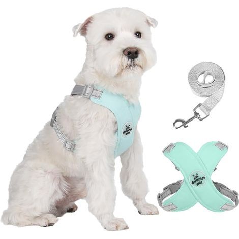 Harnais de poitrine pour chien, design en forme de X, couleur verte, tour de poitrine : 48-60 cm, tour de cou : 40-52 cm. (1/5)